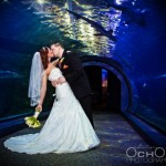 Adventure Aquarium Wedding