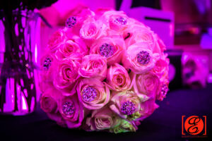 Lauren-Ed25 Lauren Ed25