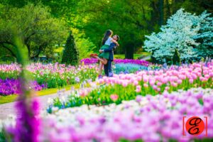 lisha-alvin-engagement117 lisha alvin engagement117