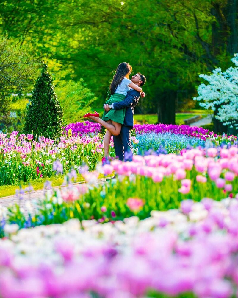 lisha-alvin-engagement117