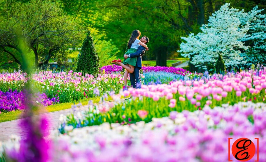 lisha-alvin-engagement117