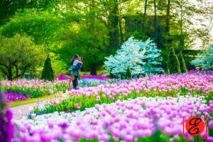 lisha-alvin-engagement118 lisha alvin engagement118