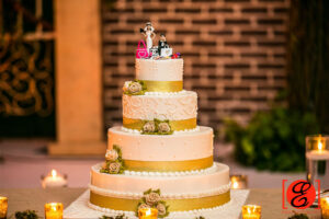 shreya divya wedding 19